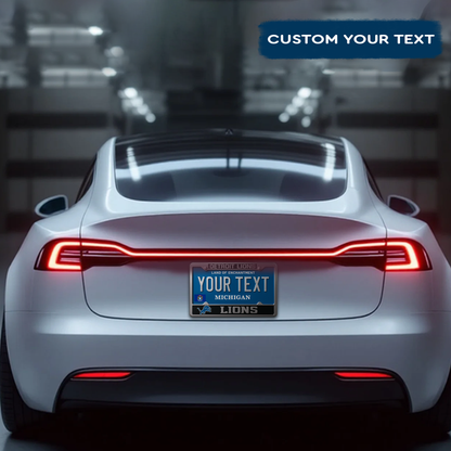 NFL Detroit Lions Hanging Wall License Plate Sign DatNd 1404 TQT 1