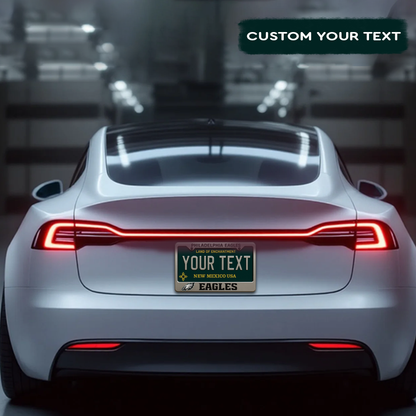 NFL Philadelphia Eagles Hanging Wall License Plate Sign NDD