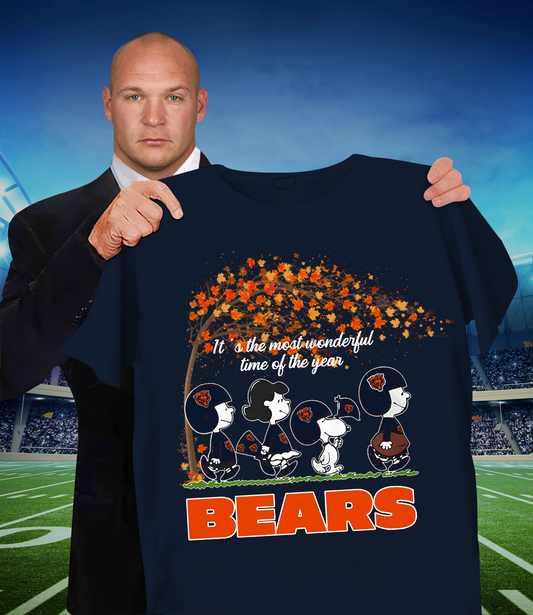 CHI x NFL It's The Most Wonderful T-Shirt DATND TANTD